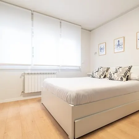 Estudio Centro Con Parking Vigo